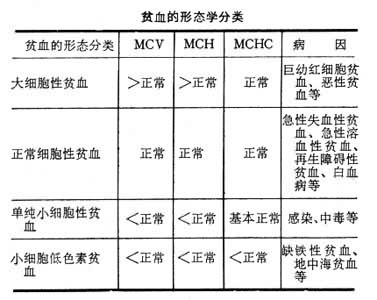 血液學(xué)特殊功能檢查