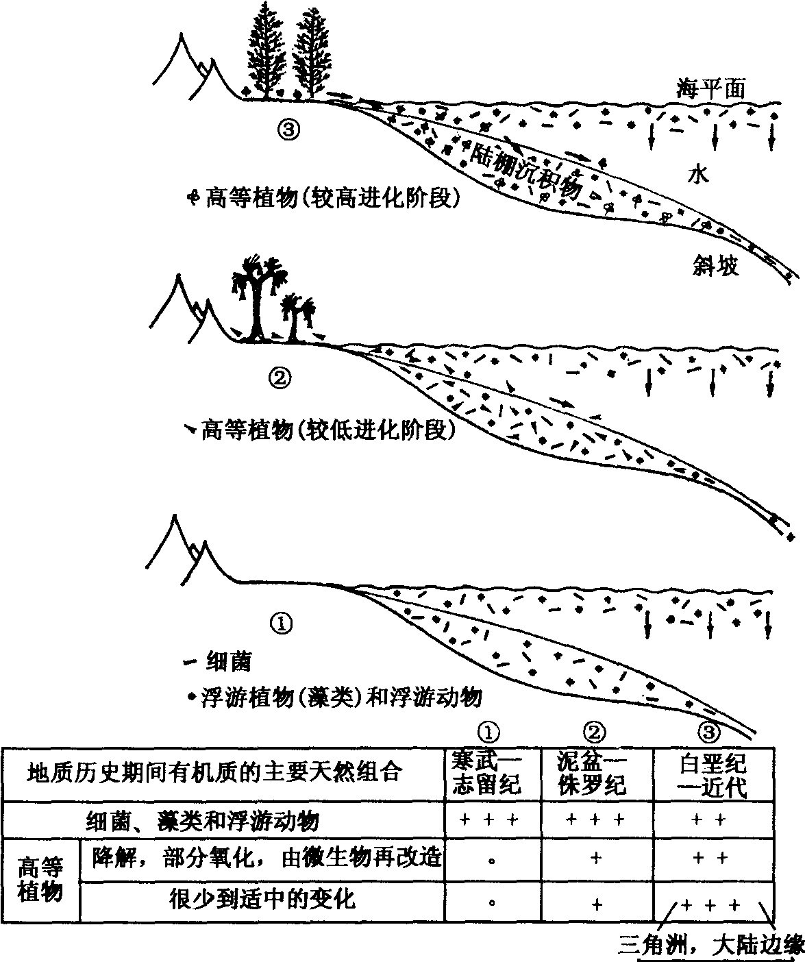 圖2—6 在地質(zhì)歷史中水生沉積物中有機(jī)物質(zhì)的主要天然組合