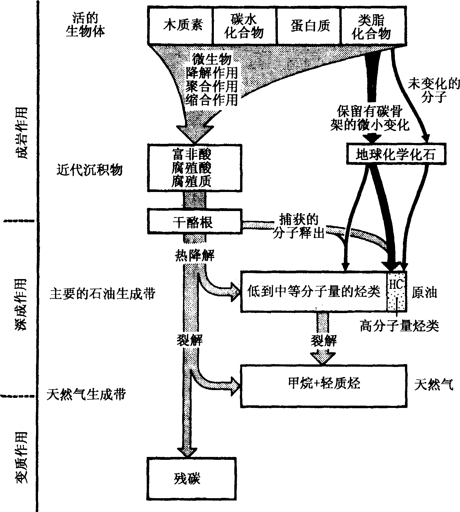 圖2—12 在與有機物質(zhì)演化有關(guān)的地質(zhì)條件下烴類的來源