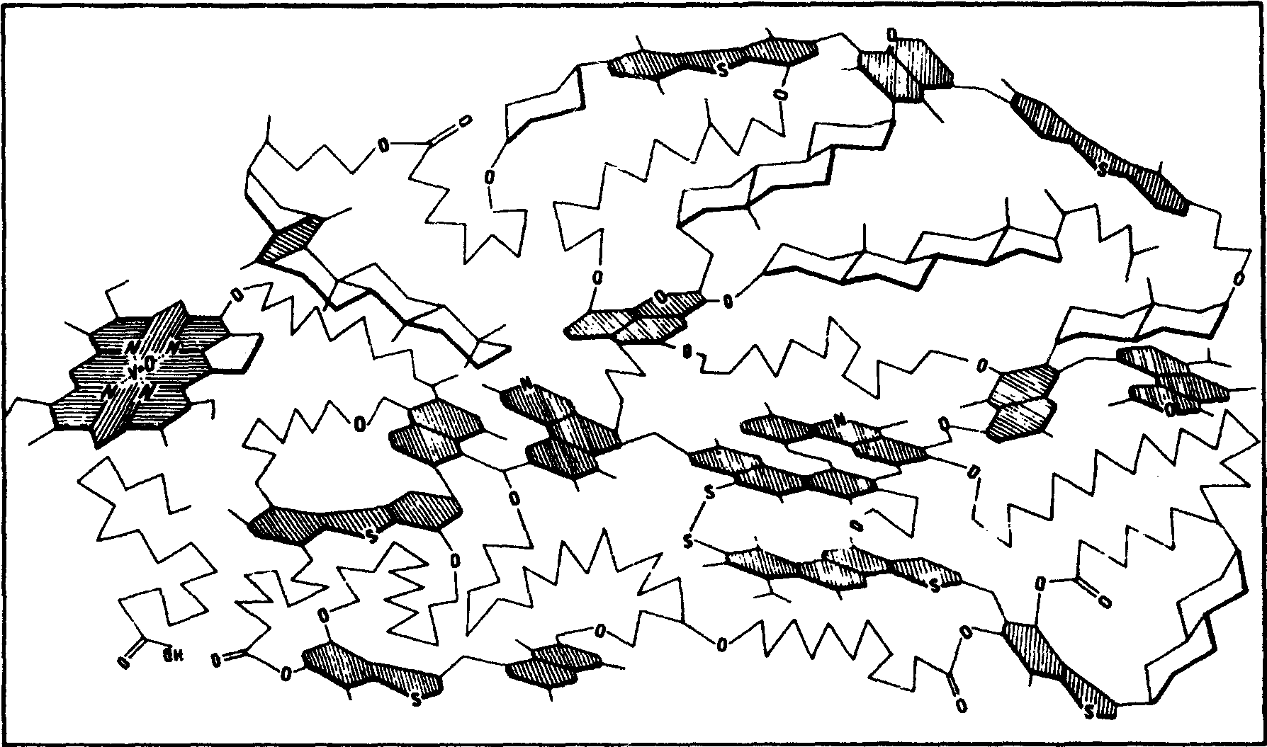 圖2—13 典型的瀝青質(zhì)結(jié)構(gòu)圖