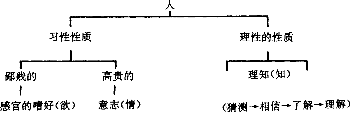 (二)西方文化及其沿革