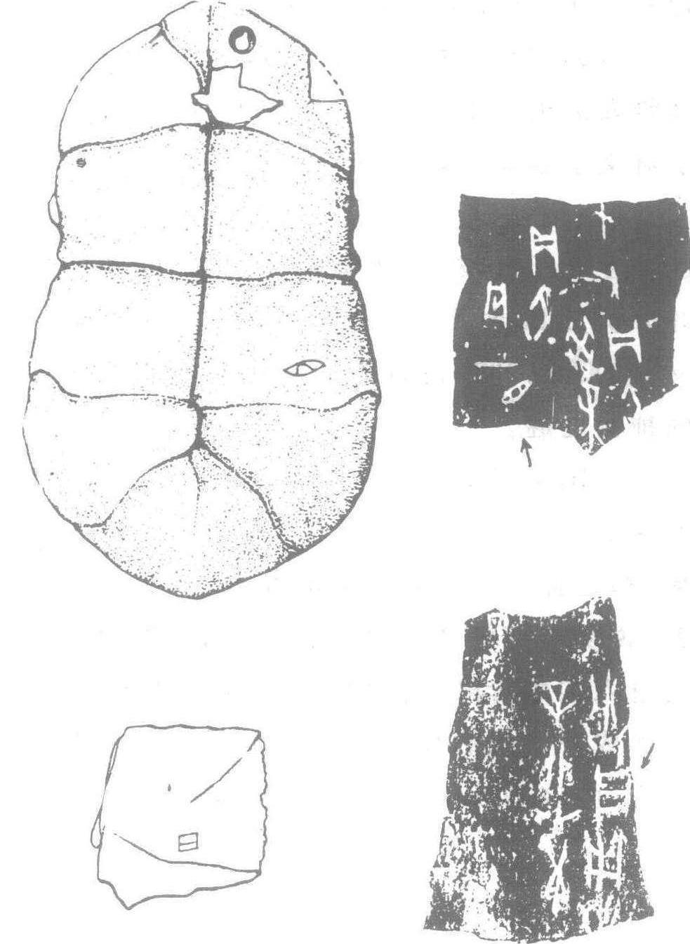 3 陶器、龜甲上的圖形、刻畫符號(hào)