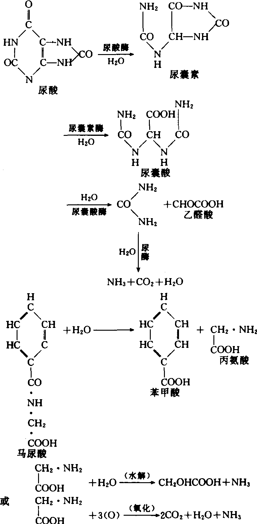 畜糞尿