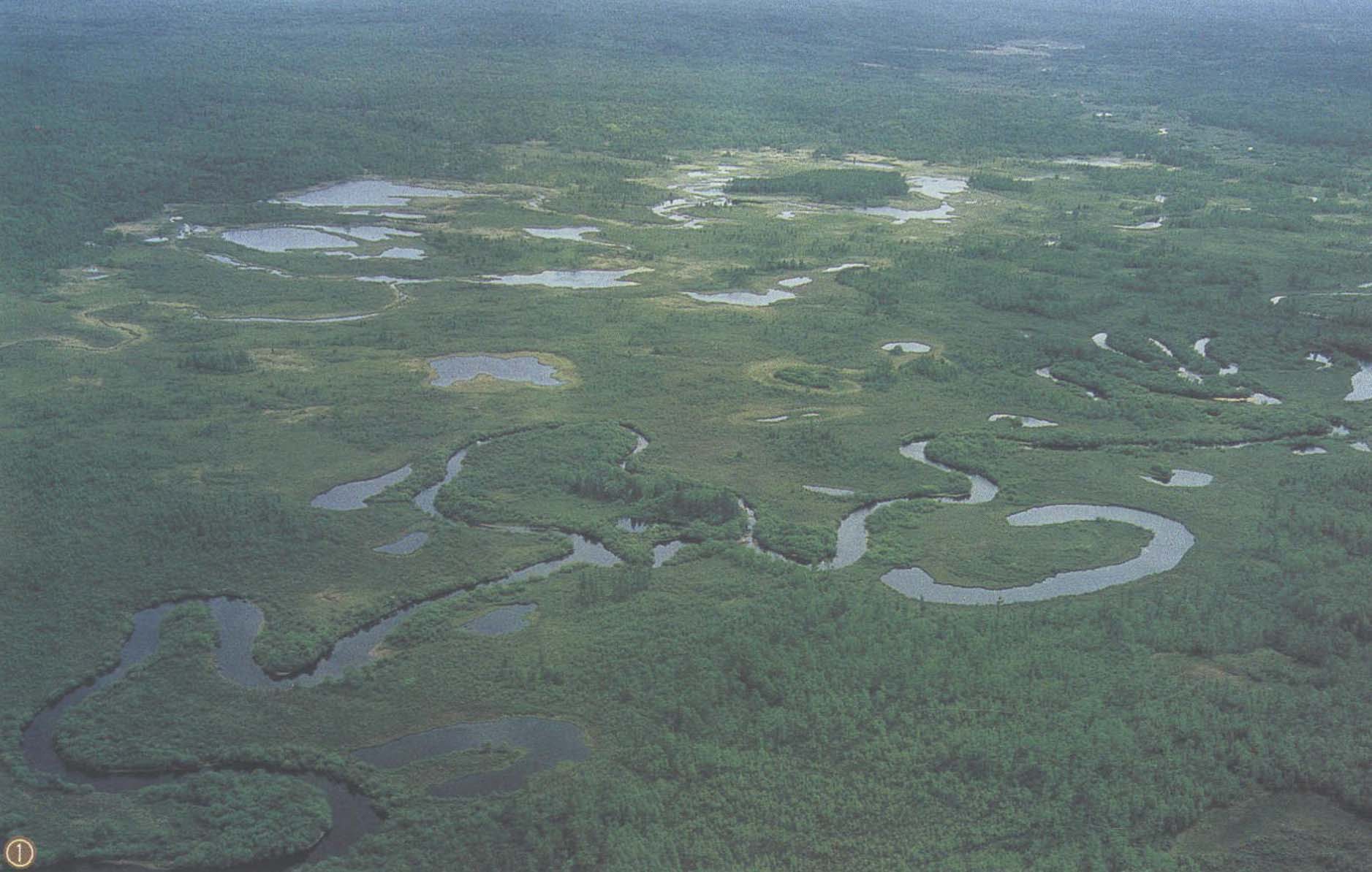 大沾河國家森林公園