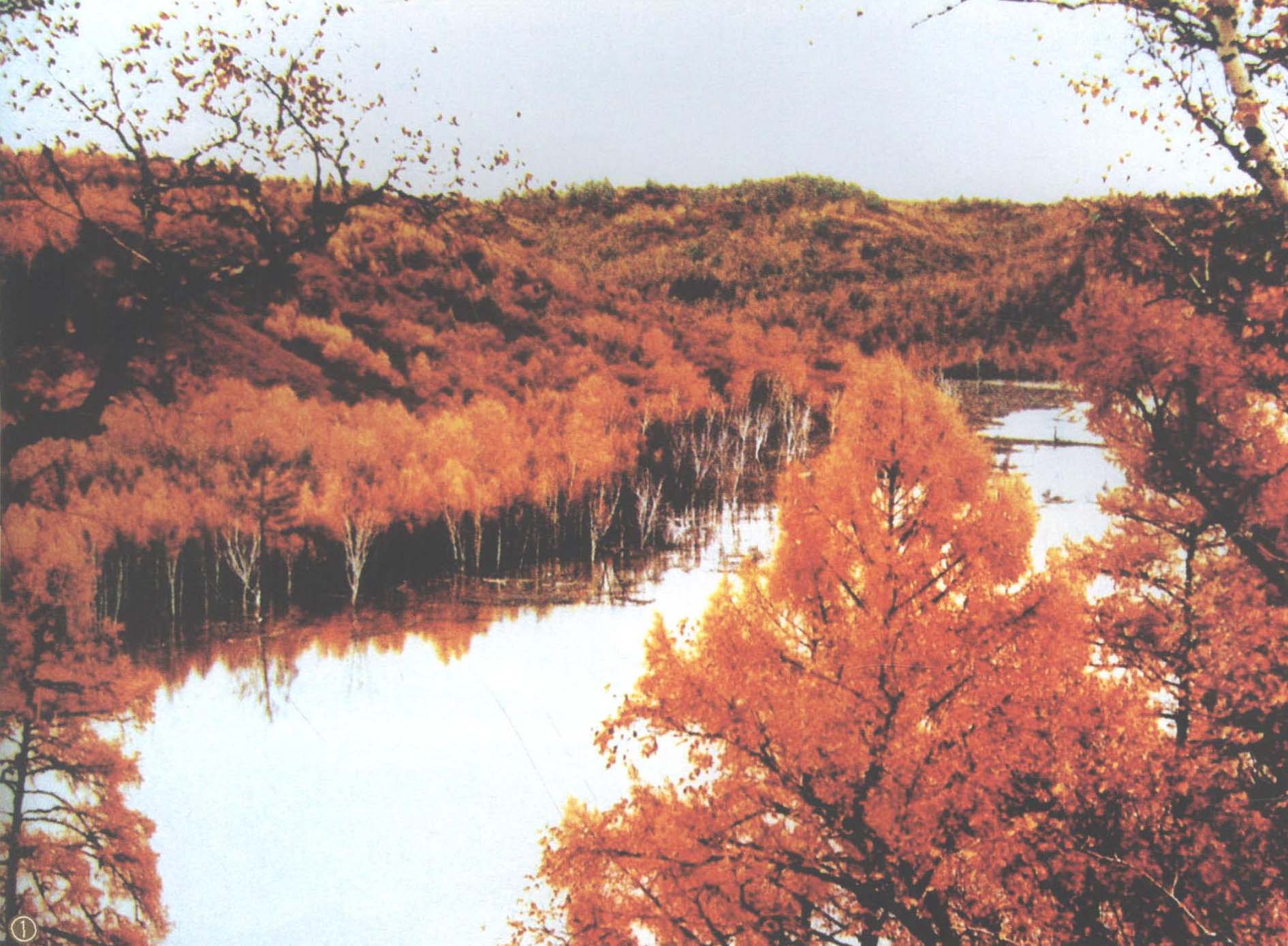 望龍山國(guó)家森林公園