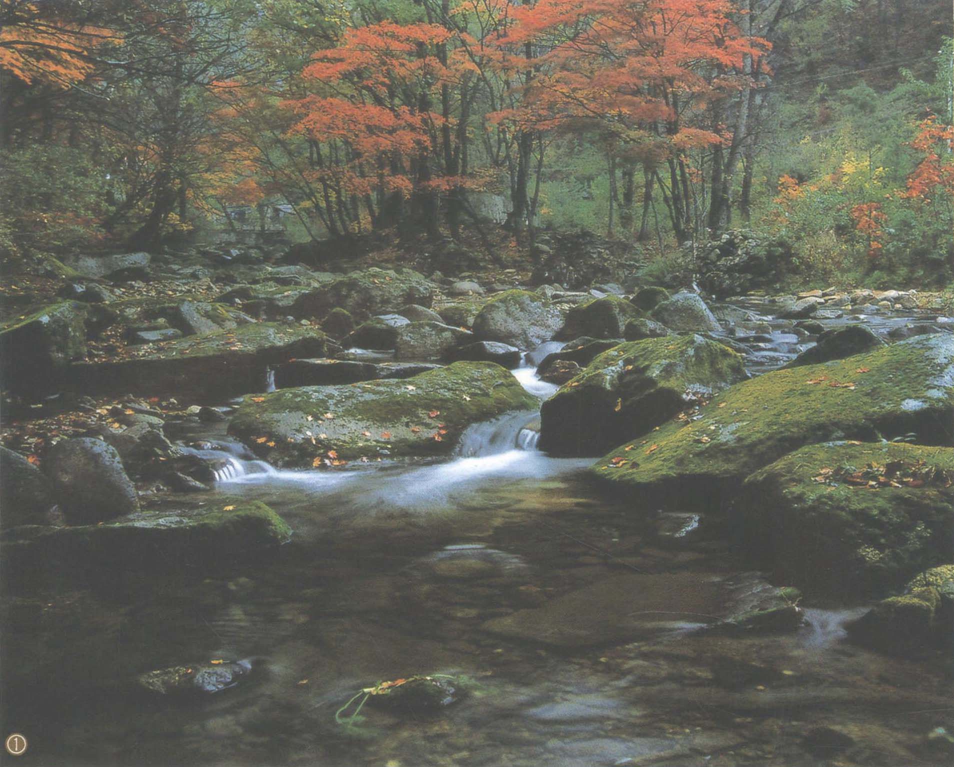 天橋溝國家森林公園