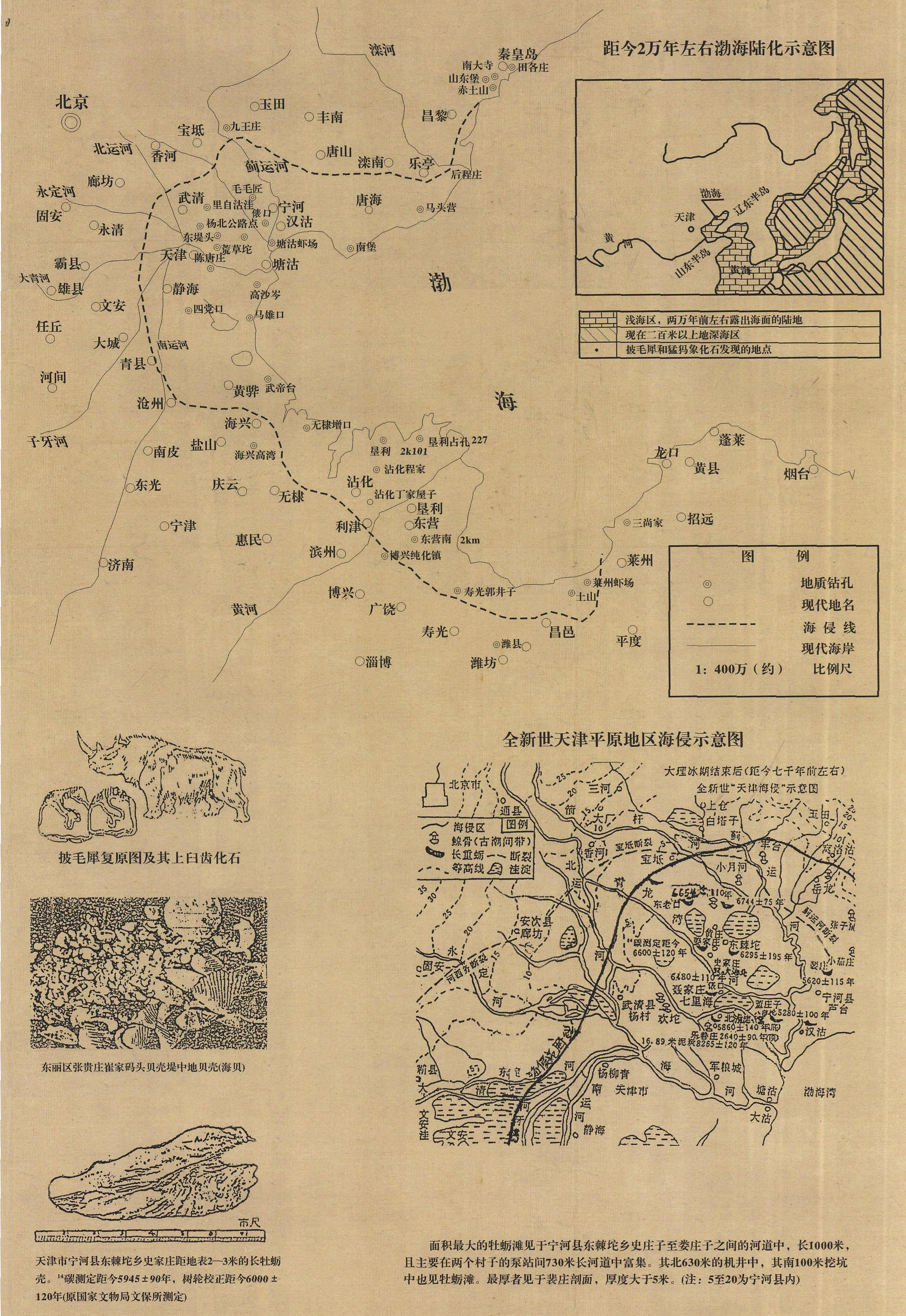 3.渤海灣全新世海侵示意圖