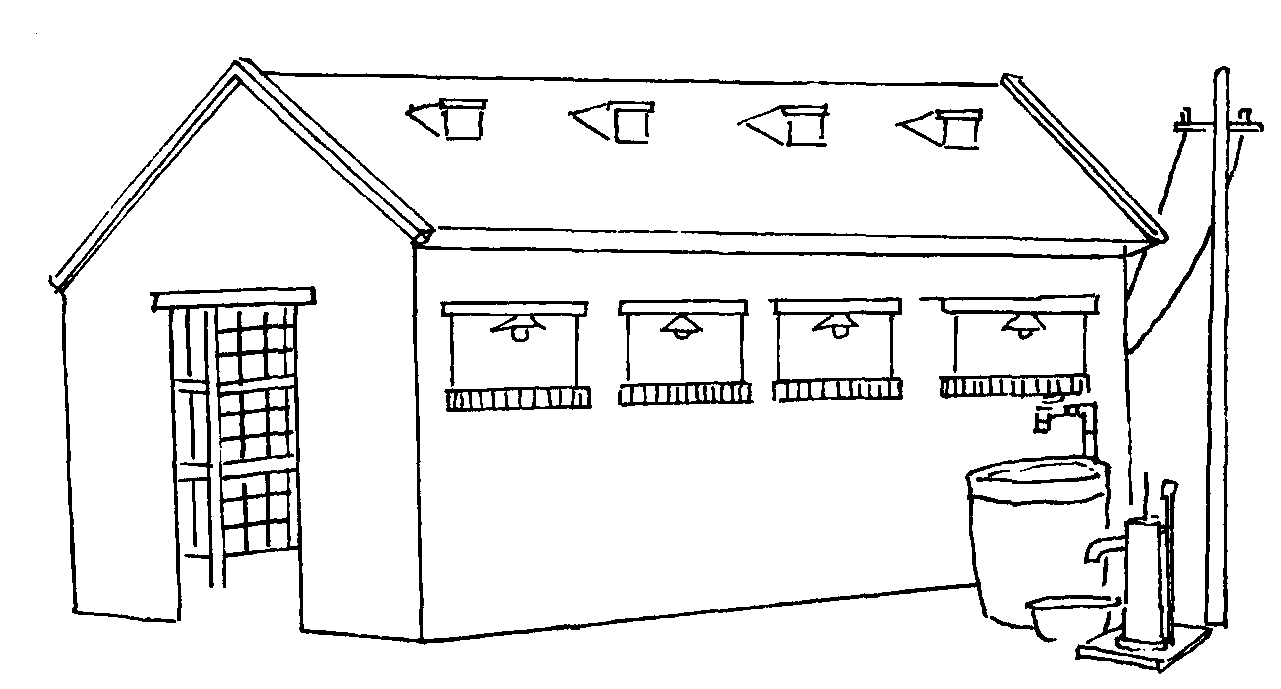 (一) 兔舍建造的基本要求