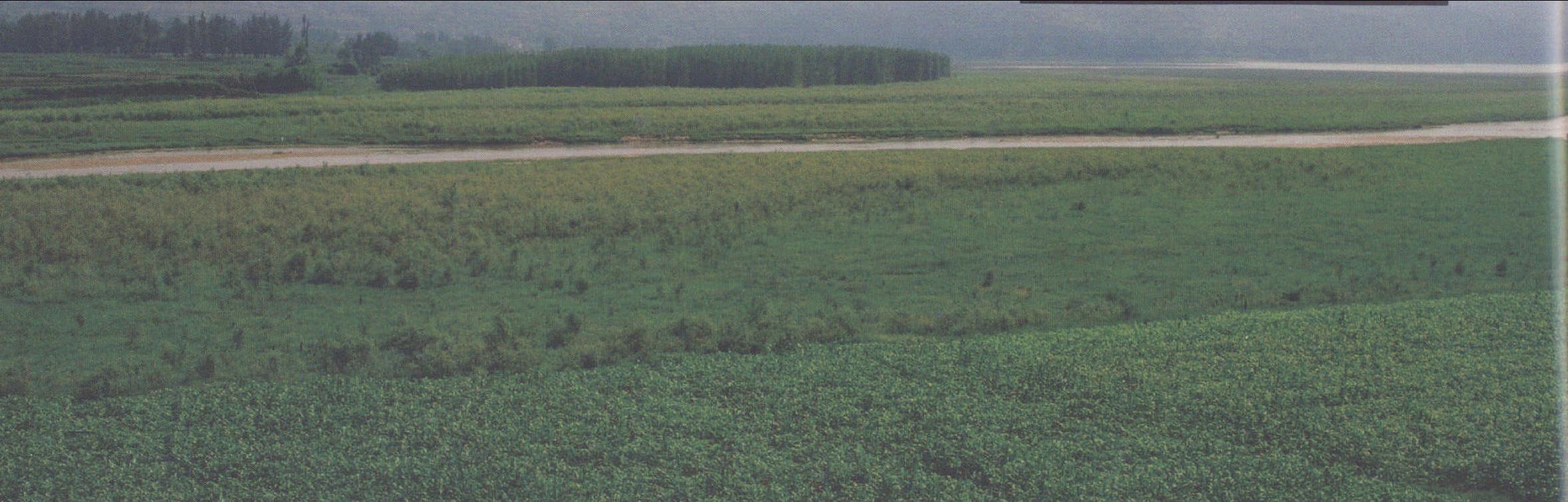 湖光山色 千湖國(guó)家濕地公園