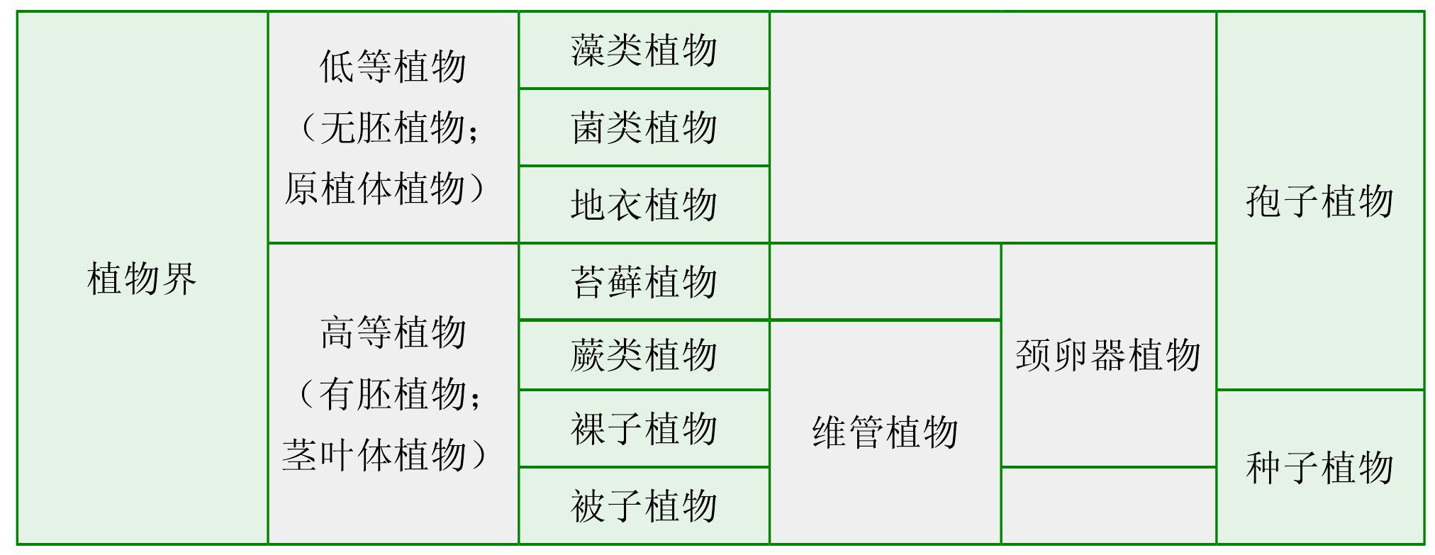 園林植物學基礎知識