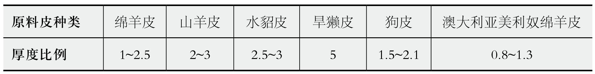 1.1.1  表皮層