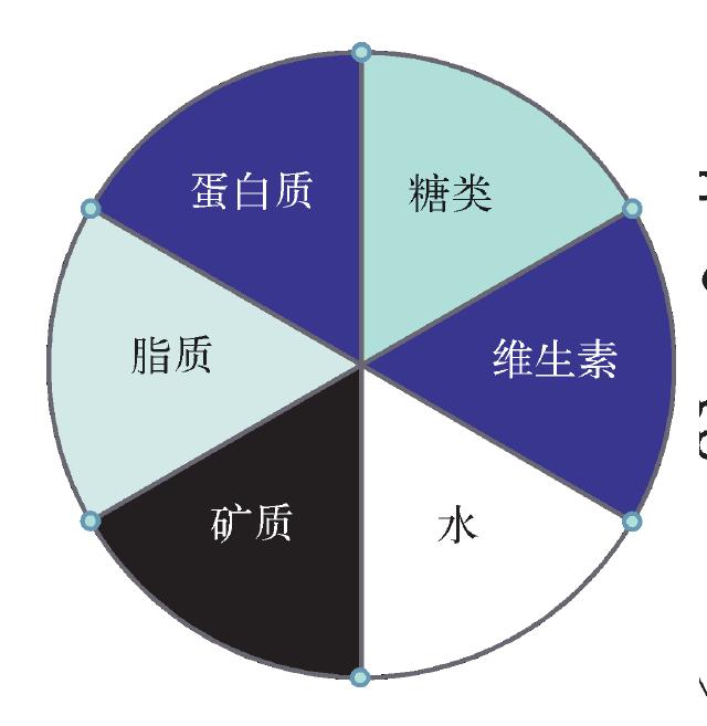 人工合成食物和愉快食譜