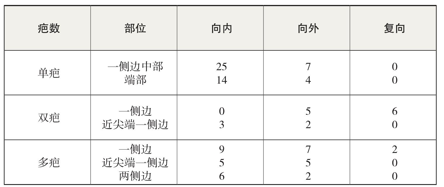 峙峪遺址碎骨的研究