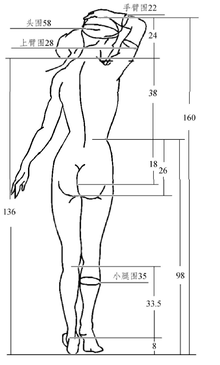 一、表皮原型的建立