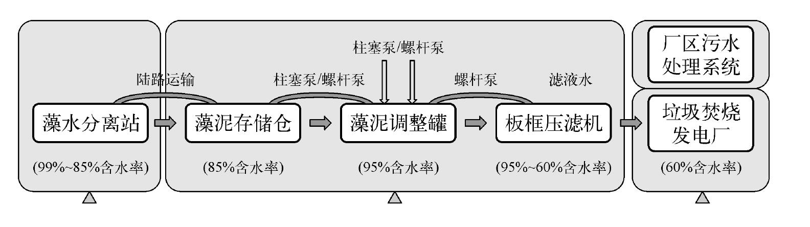 三、全力打撈處置藍藻，保障供水安全