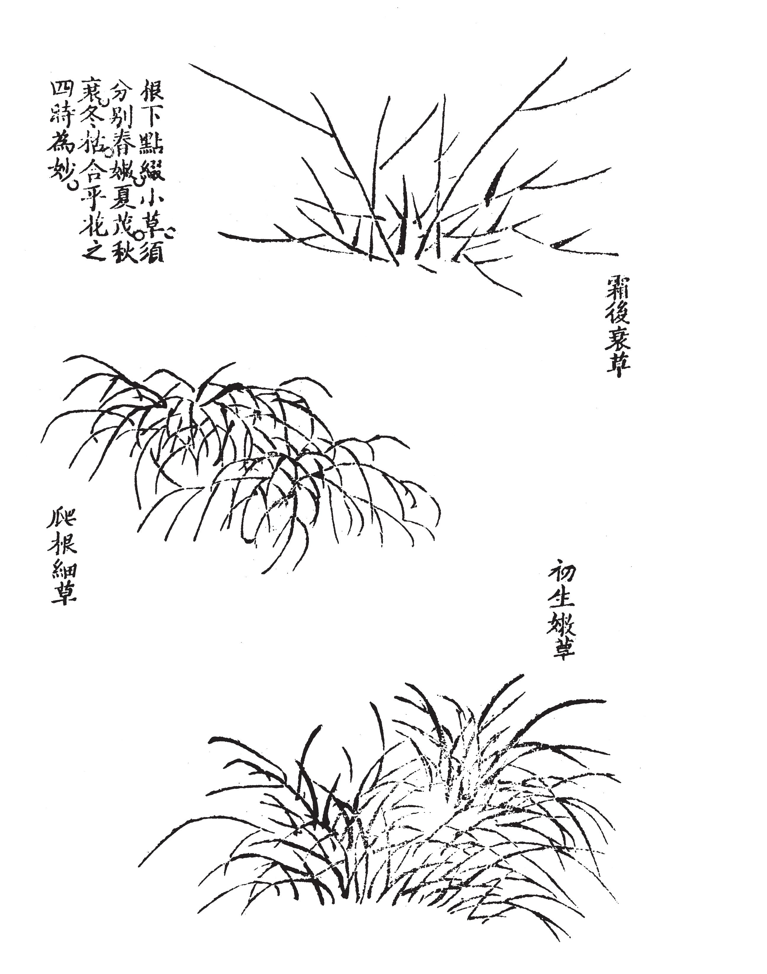 根下點(diǎn)綴苔草式