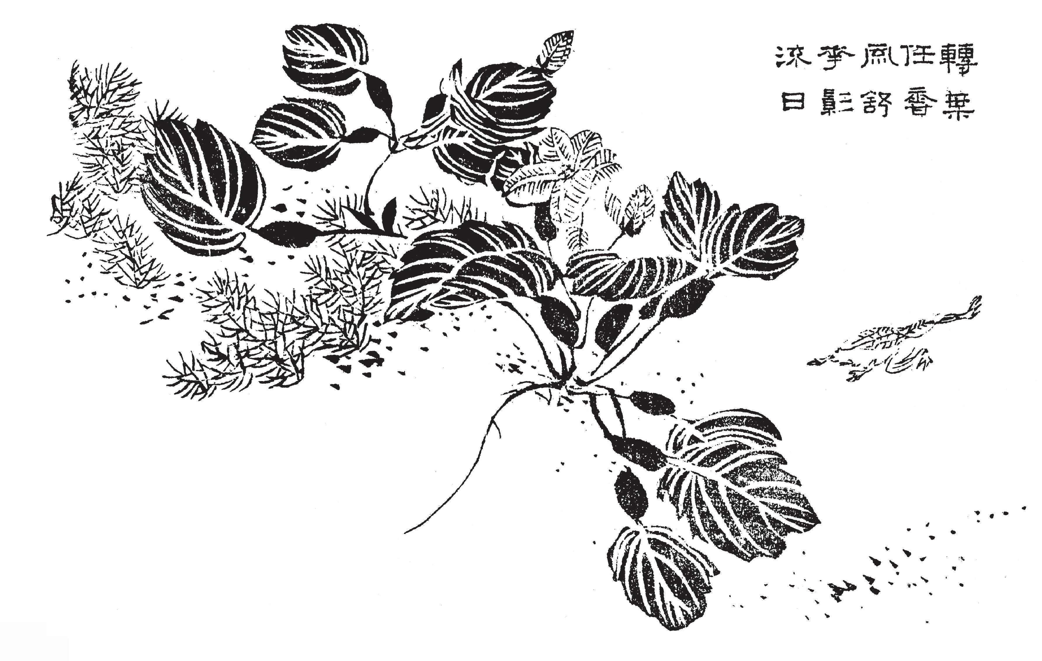 菱花青蛙 仿劉永年畫